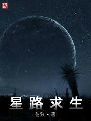 星路求生封面