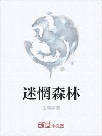 迷惘森林封面