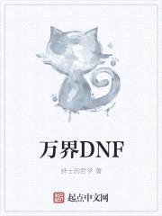 万界DNF封面