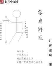 零点游戏封面