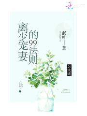 溺宠99法则：吻安，离少封面