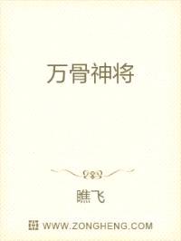 万骨神将封面