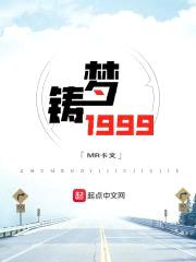 铸梦1999封面