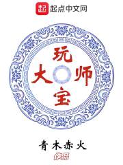 玩宝大师封面