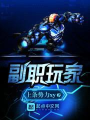 副职玩家封面