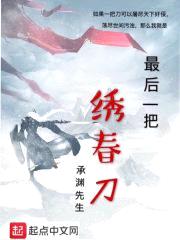 最后一把绣春刀封面