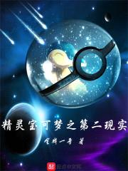 精灵宝可梦之第二现实封面