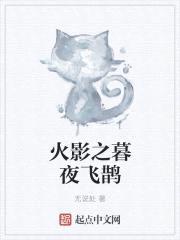 火影之暮夜飞鹊封面