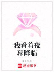 我看着夜幕降临封面