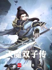 天魔双子传封面