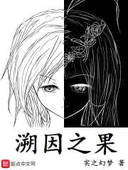 溯因之果封面