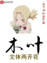木叶文体两开花封面