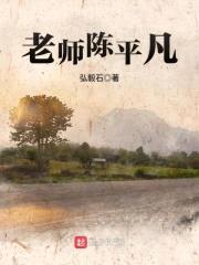 老师陈平凡封面