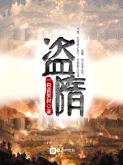 盗隋封面