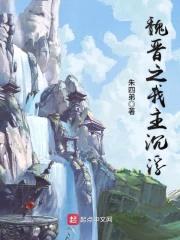 魏晋之我主沉浮封面