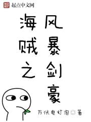 海贼之风暴剑豪封面