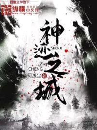 神迹之城封面