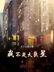 我不是大巨星封面