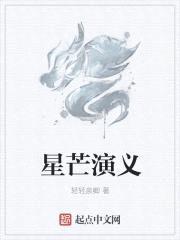 星芒演义封面