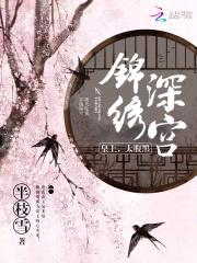 锦绣深宫：皇上，太腹黑！封面