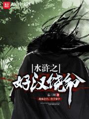 大宋隐天子封面