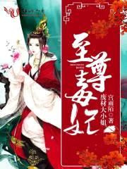 至尊毒妃废材大小姐封面