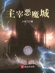 主宰恶魔城封面