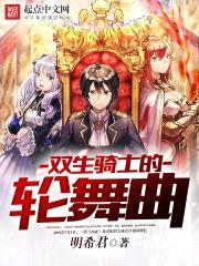 双生骑士的轮舞曲封面