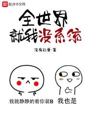 全世界就我没系统封面