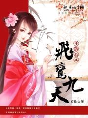 飞鸢九天封面