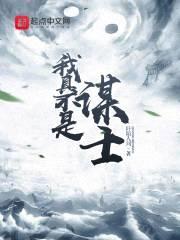我真不是谋士封面