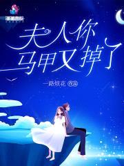 夫人你马甲又掉了封面