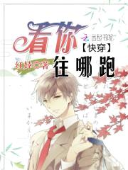 快穿：看你往哪跑封面