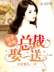 错孕成婚：总裁，娶一送一封面