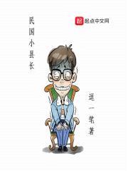 民国小县长封面