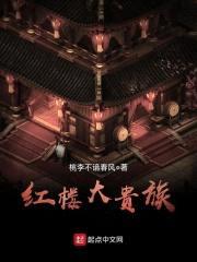 红楼大贵族封面