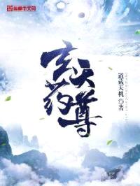 玄天药尊封面