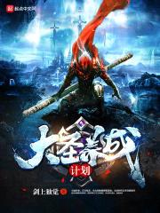 大圣养成计划封面