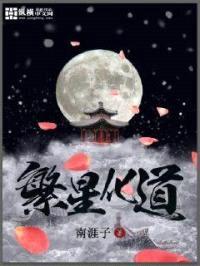 繁星化道封面
