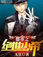 都市之至尊少帅封面