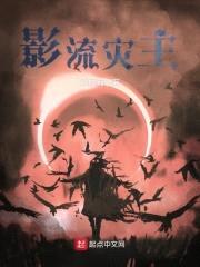 影流灾主封面