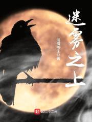 迷雾之上封面
