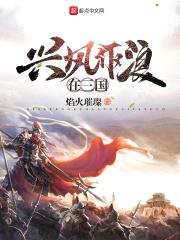 兴风作浪在三国封面