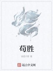 苟胜封面