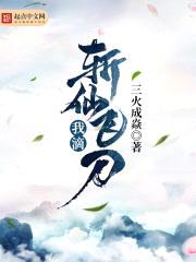 我滴斩仙飞刀封面