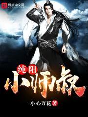 纯阳小师叔封面