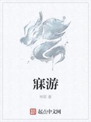 寐游封面