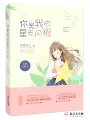 你是我的星光闪耀封面