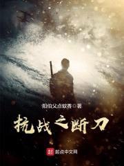 抗战之断刀封面