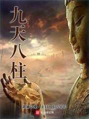 九天八柱封面